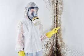 Best Forensic Mold Investigation  in Zellwood, FL